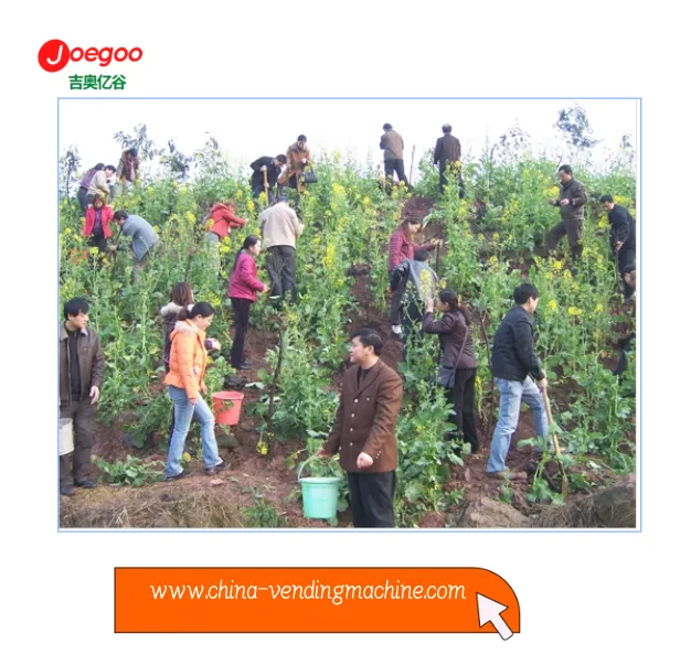 D'eagraigh Roinn Easpórtála Cuideachta Jeogoo Gníomhaíocht Dheonach Don Fhéil...